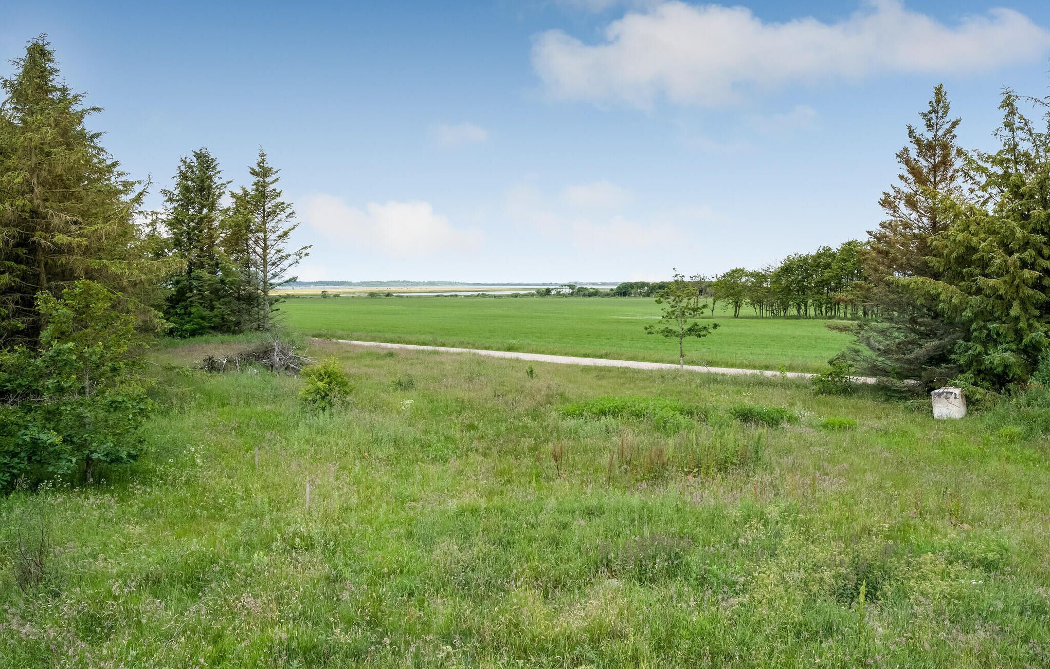 A grassy field with a dirt path leading to a distant view of a body of water and trees.