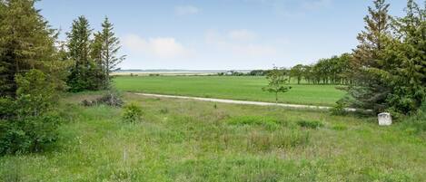 A grassy field with a dirt path leading to a distant view of a body of water and trees.