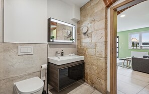 Shower, hair dryer - Haus Alte Schmiede Apt. 2 (Naumburg)