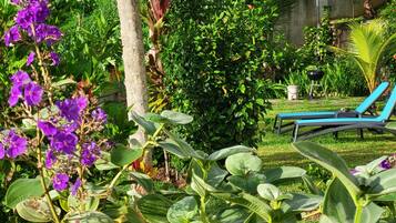Vue sur le jardin