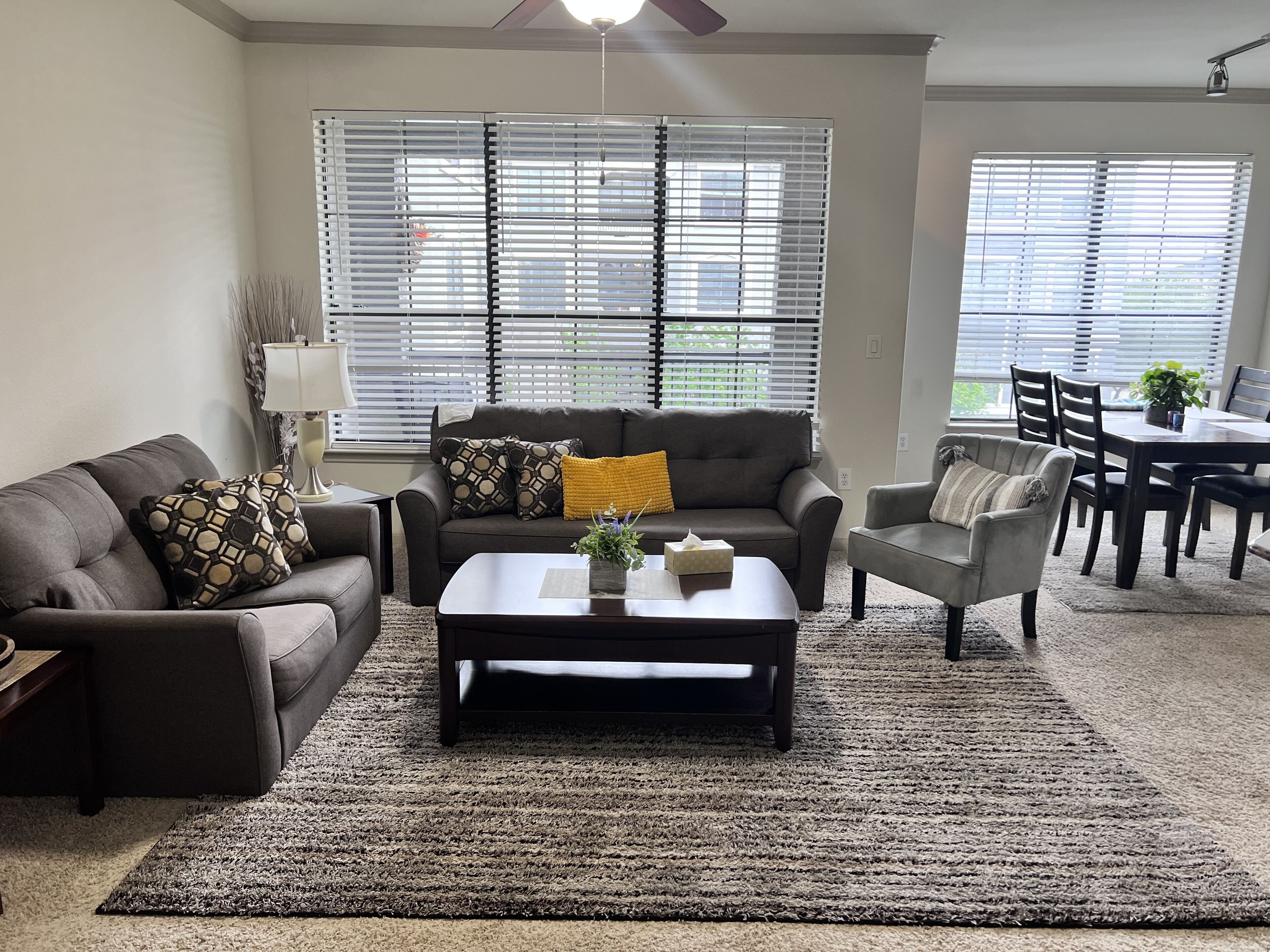 Cozy apartment at NRG and TMC in the Central of Kirby