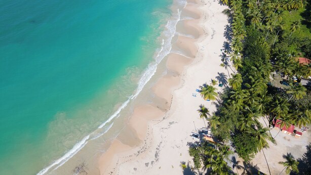 An aerial view of a beach with clear turquoise waters, a sandy shore, and dense palm trees. - Chill Boutique Hotel (Las Terrenas)