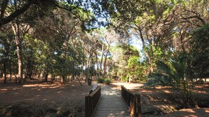 Un puente de madera en un área boscosa con árboles y un sendero de tierra.