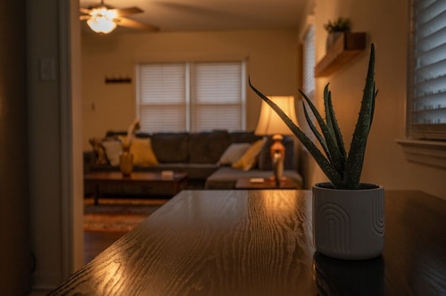 Cozy 3 Bedroom Cottage with Huge Fenced-In Yard