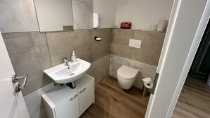 A modern bathroom with a white sink, a toilet, and a mirror. - Idyllischer Bauernhof 3 (Wildensbuch)