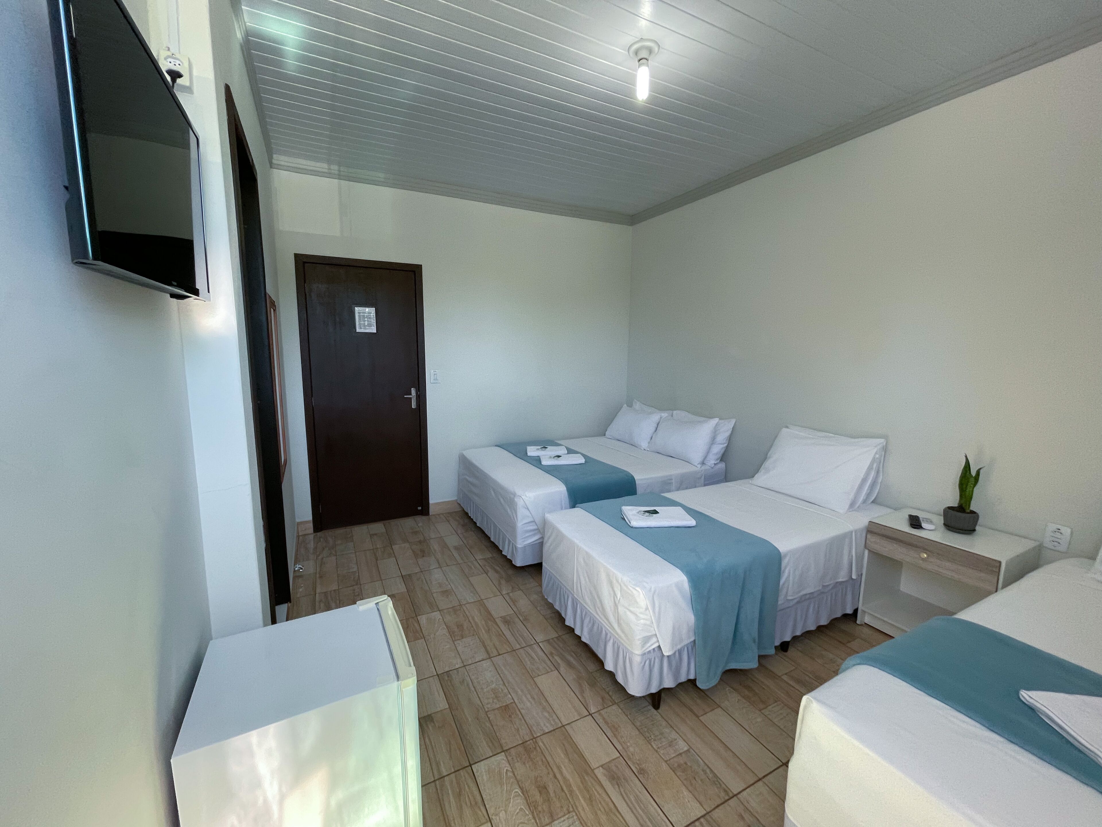 A hotel room with two single beds, a small bedside table with a plant, a TV mounted on the wall, and a door with a sign.