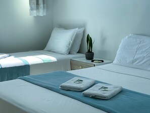 Minibar, tabla de planchar con plancha, wifi gratis y ropa de cama 