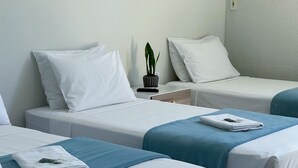Habitación de hotel con dos camas individuales, cada una con sábanas blancas y una manta azul. Hay una pequeña planta en maceta sobre una mesita de noche.