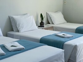 Minibar, tabla de planchar con plancha, wifi gratis y ropa de cama 