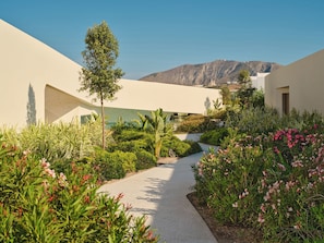 A pathway leading through a landscaped garden with various plants and a mountain in the background. - Nous Santorini (Santorini)