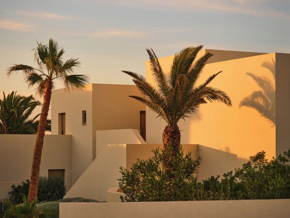 A modern building with a flat facade, palm trees, and a clear sky.