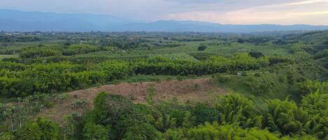A lush green landscape with dense vegetation and distant mountains.