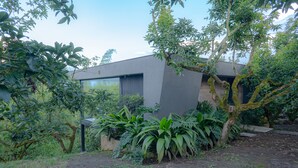 Un bâtiment moderne doté d’un toit plat, entouré d’une végétation luxuriante et d’arbres.