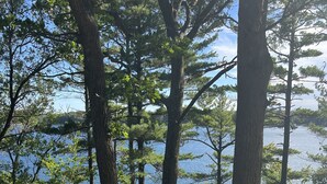 A wooden staircase leading to a viewpoint overlooking a lake, surrounded by trees and greenery. - Cozy Vacation Cottage on the Lake with Hot Tub!  (Webster)