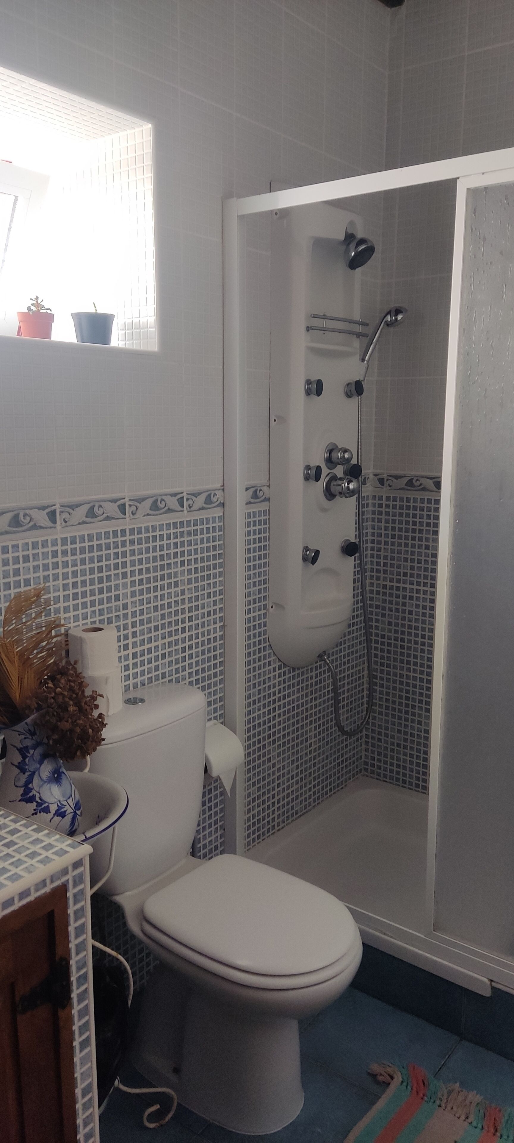 Ein Badezimmer mit Toilette, Duschkabine und einem Fenster mit Blumentöpfen.