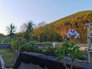 Garden - Casal do Vulcão (Horta)