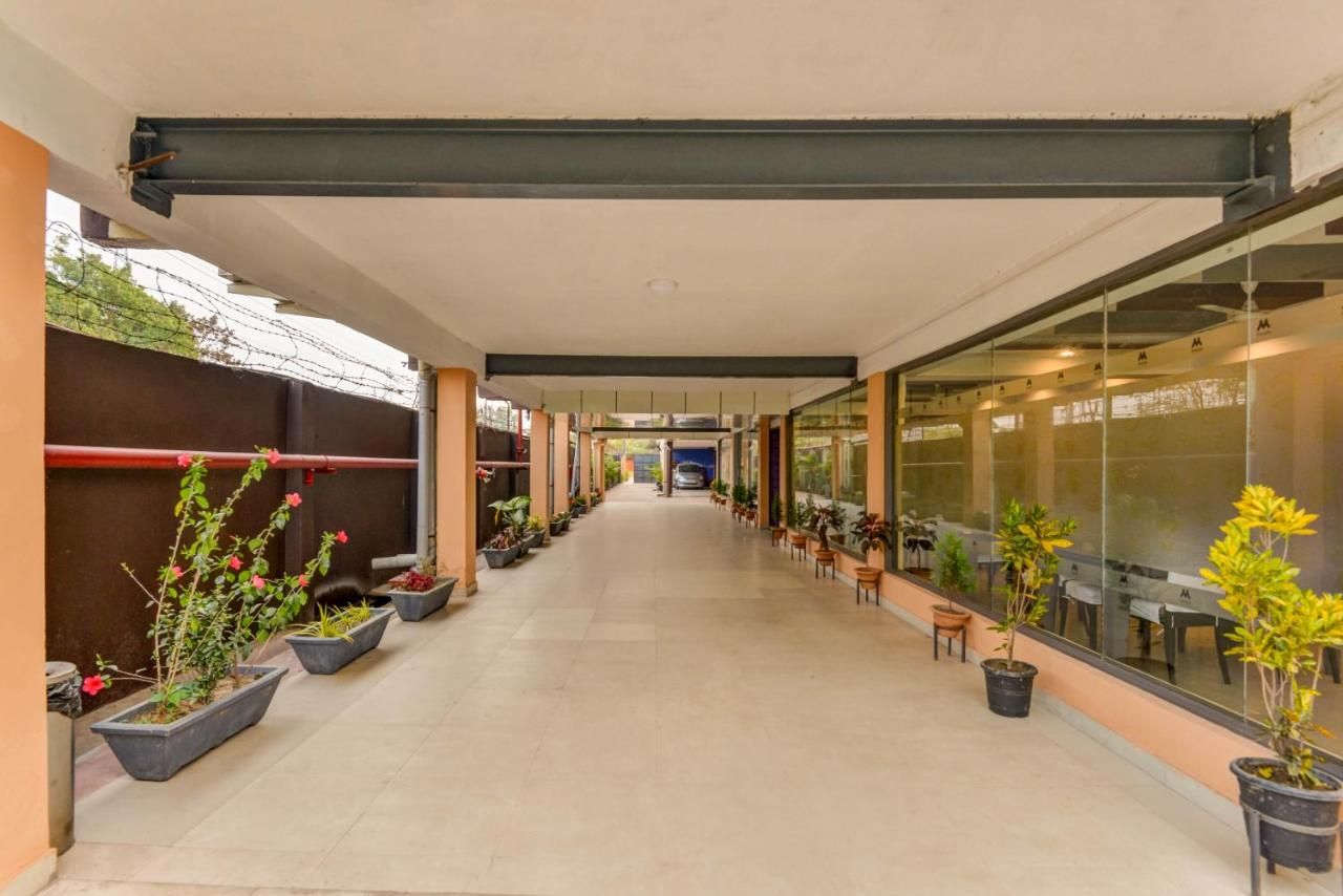 A corridor with potted plants, a glass wall, and a ceiling structure.