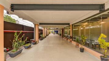 A corridor with potted plants, a glass wall, and a ceiling structure.