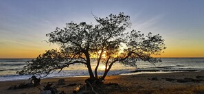 Ligstoelen aan het strand