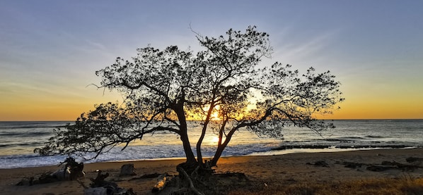 كراسي للتشمس