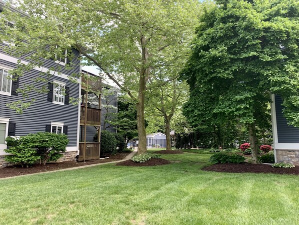 Terrain de l’hébergement 