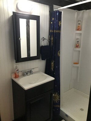 Shower, hair dryer, towels, soap - The Screwed Inn (Charleston)