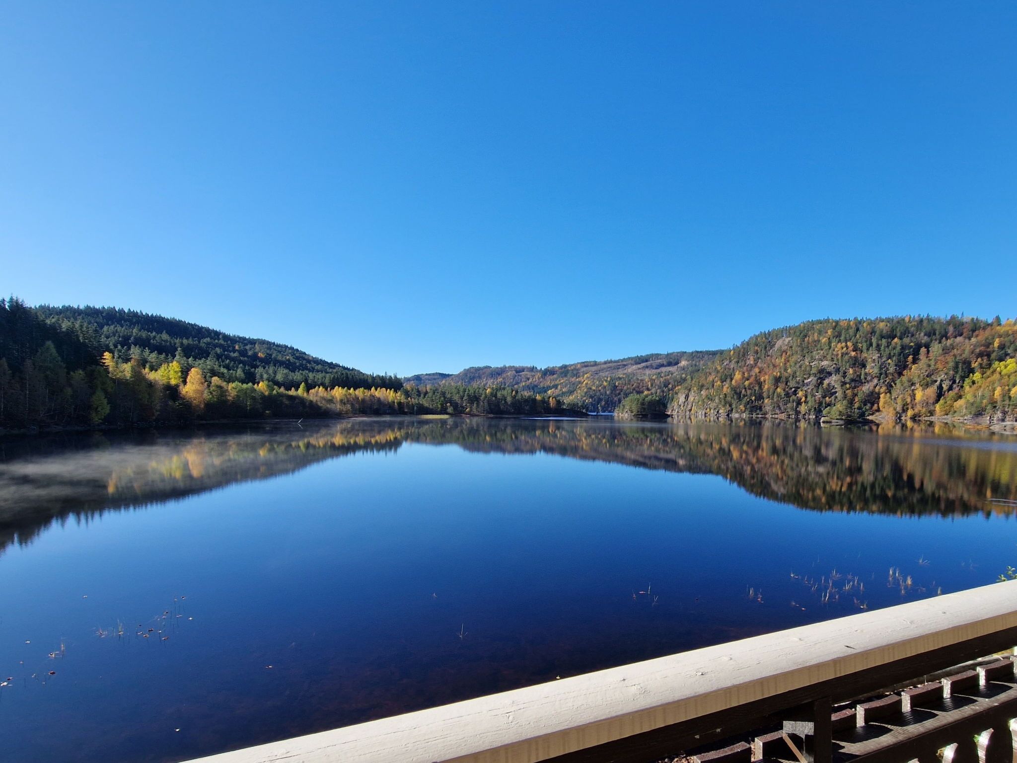A calm lake with forested hills, a clear sky, and a wooden dock.