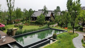 A rectangular pool with a surrounding garden, a pathway, and traditional-style buildings in the background. - Blossom Hill Hotel Xian Shijingli (Xi'an)
