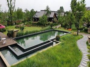 Vista desde la propiedad