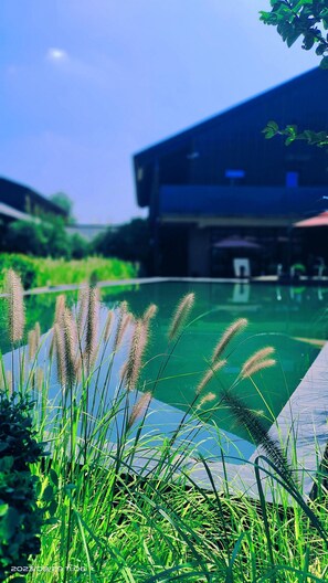 View from property - Blossom Hill Hotel Xi An Shijingli (Xi'an)