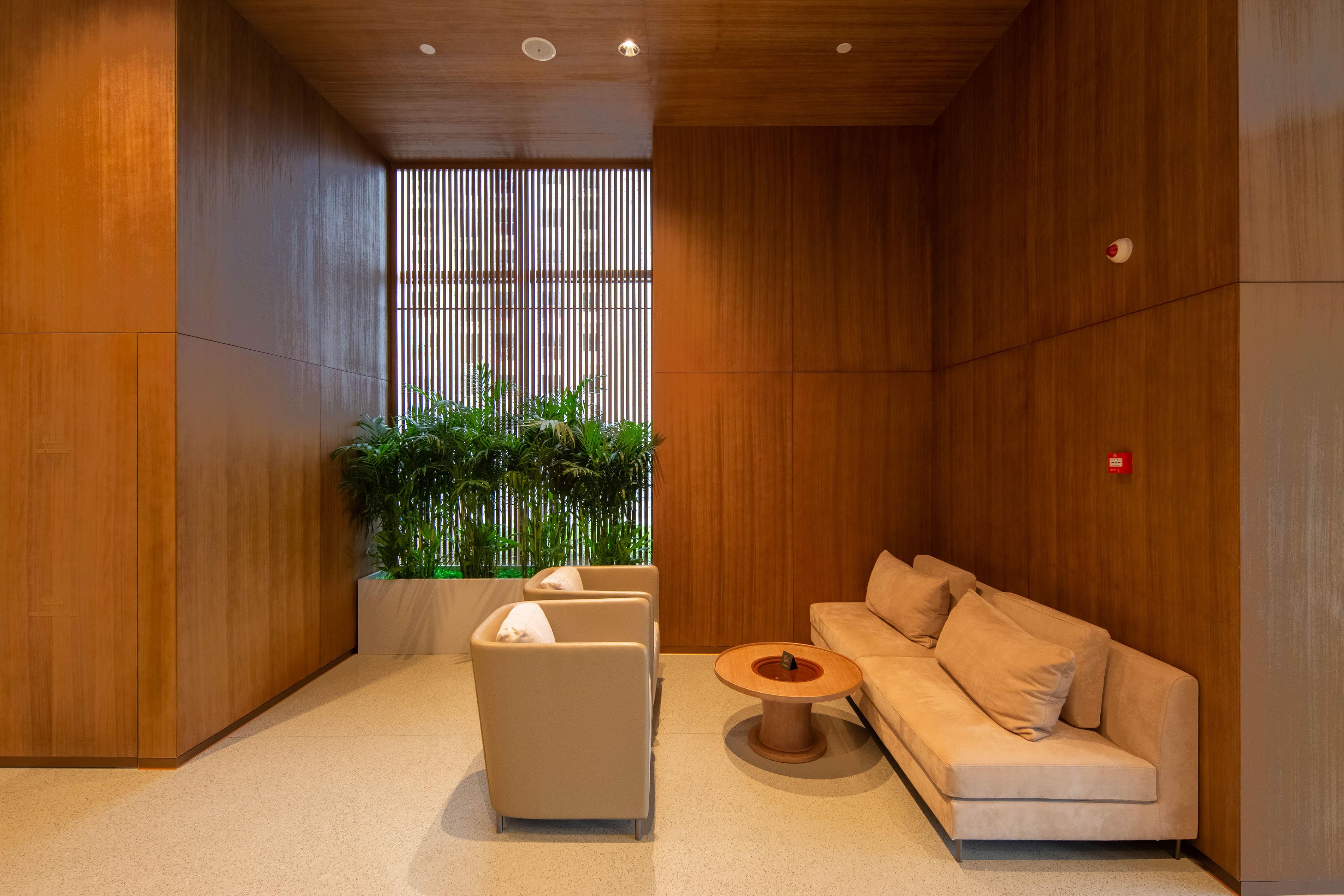 Un interior moderno con piso de madera, un sofá, una mesa de centro y una planta.