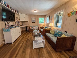 TV, fireplace, DVD player, books