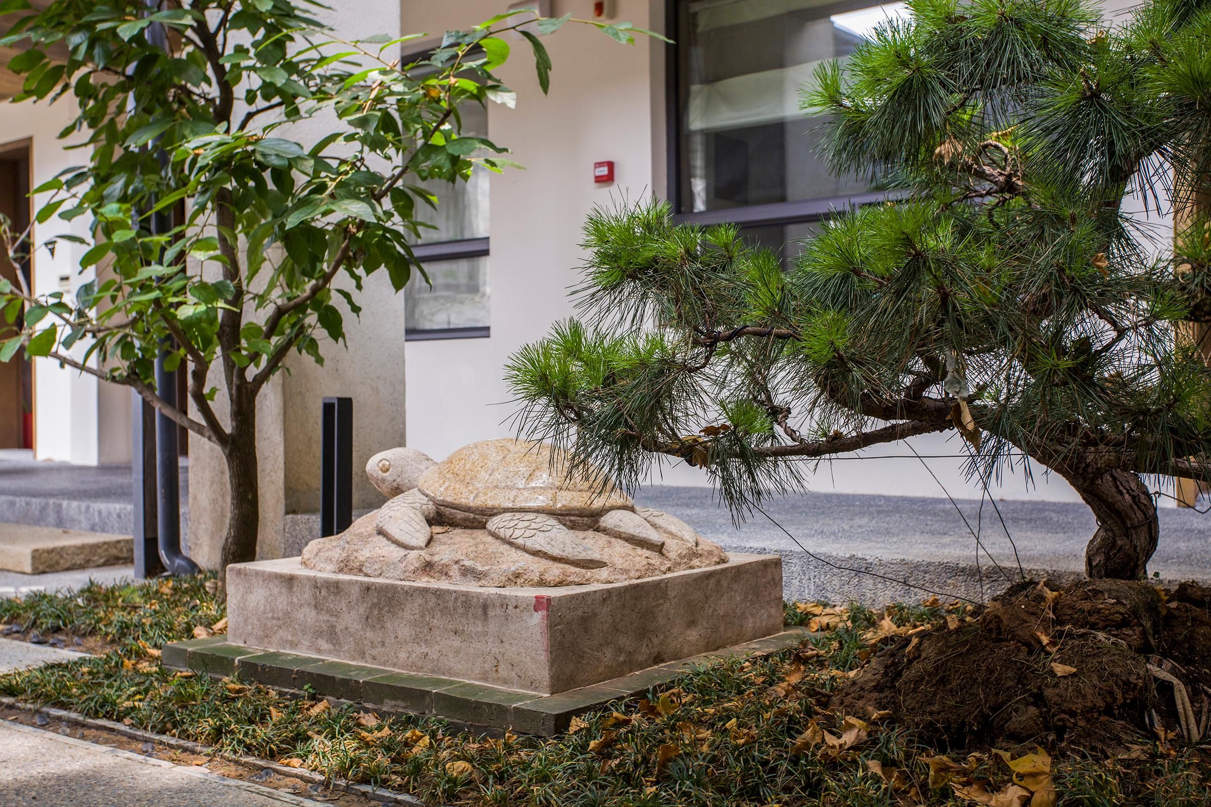 A landscaped area with a pine tree, a stone sculpture, and a building in the background.