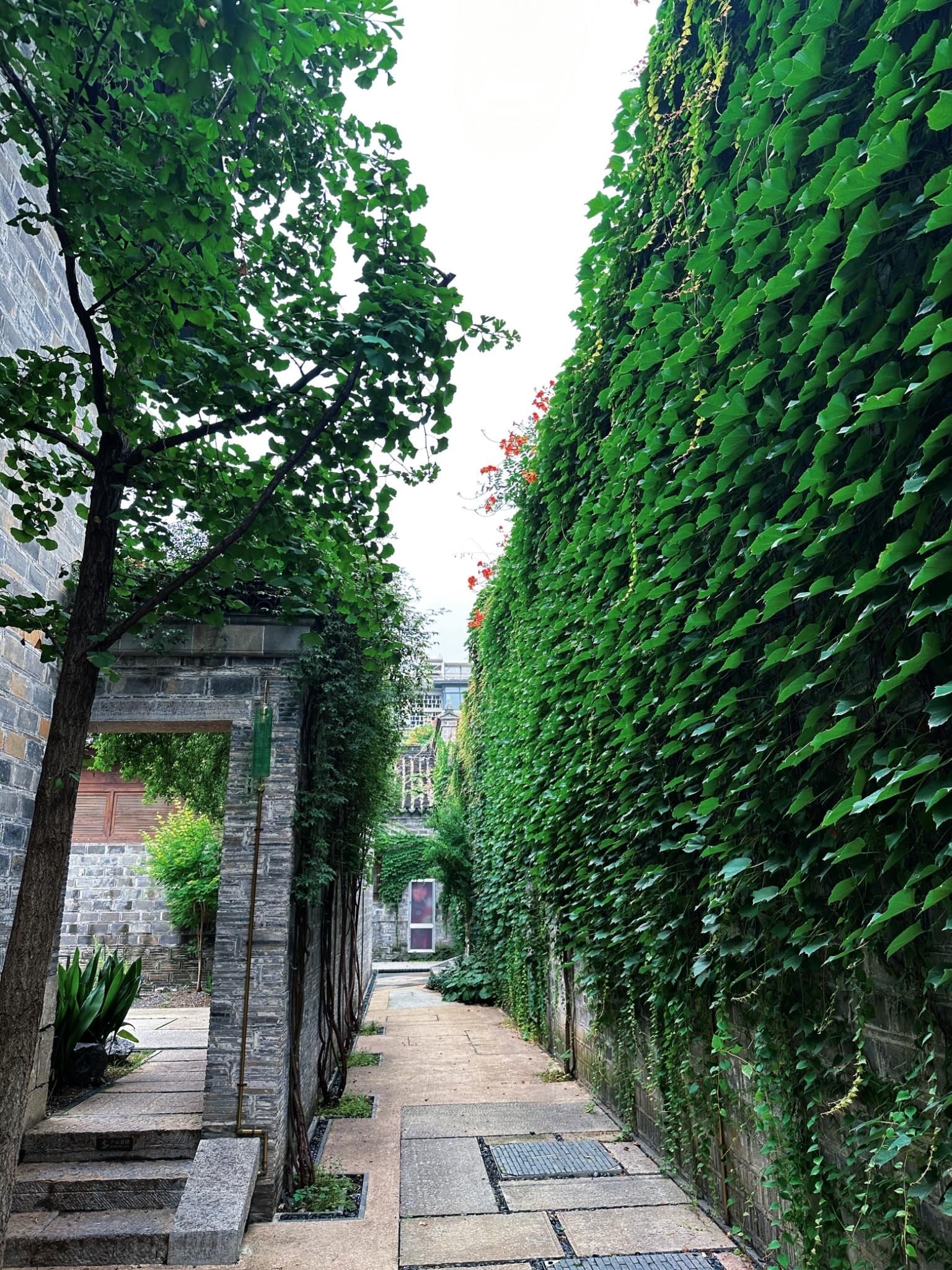 A narrow stone pathway flanked by lush green ivy and trees, leading to a stone archway.