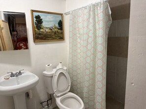 Douche, séchoir à cheveux, serviettes fournies, savon