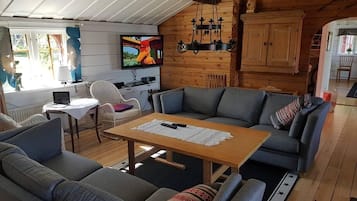Tv och eldstad