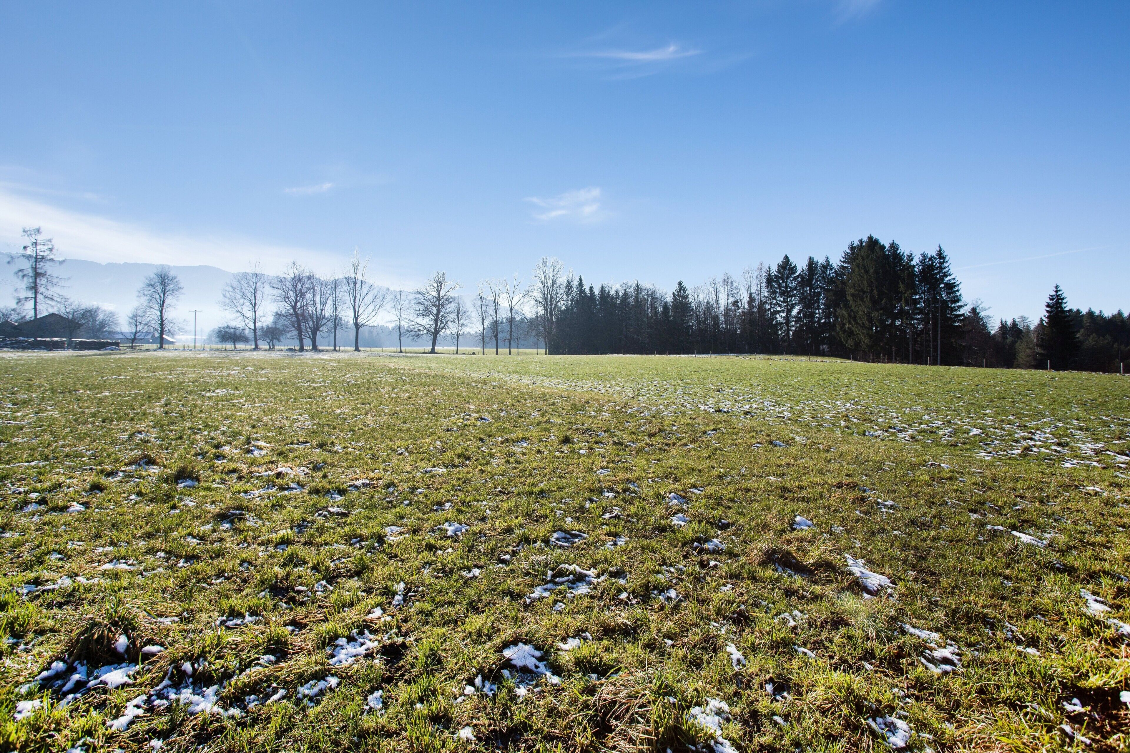 Um campo gramado com manchas esparsas de neve, árvores e céu limpo.