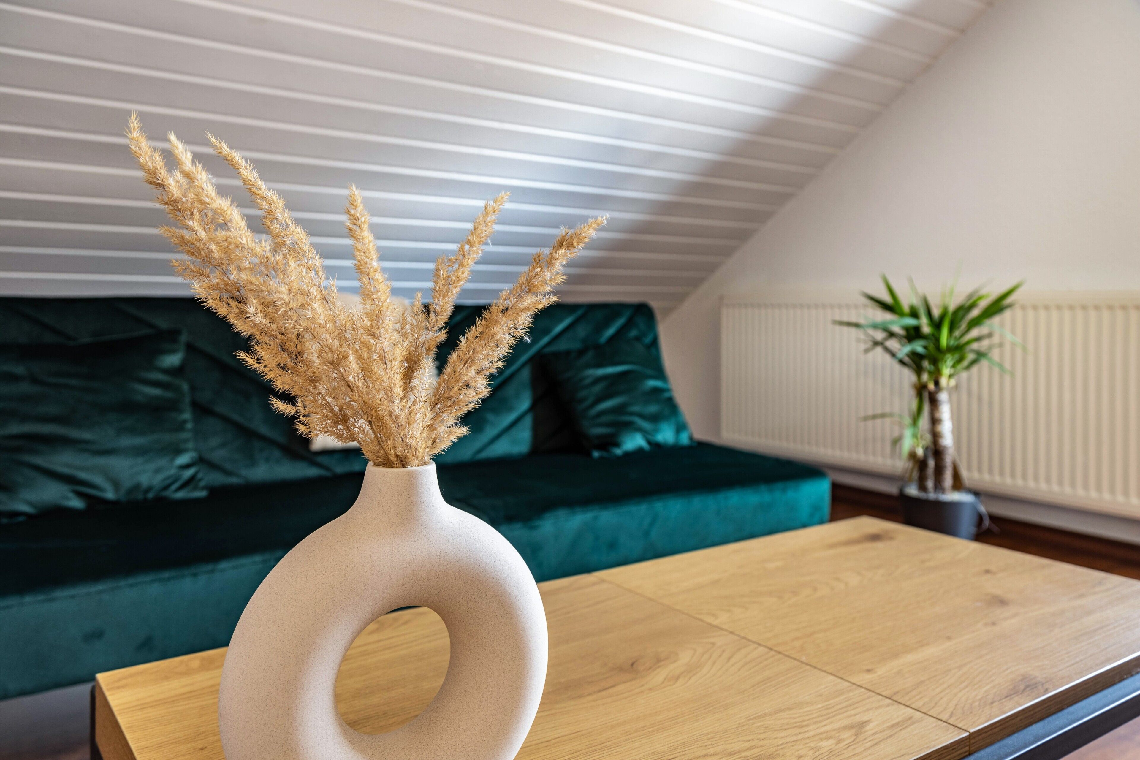 TV, streaming services