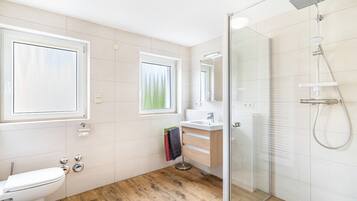 Shower, hair dryer, towels