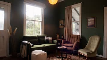 Smart TV, fireplace, books