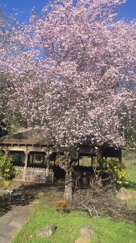 Beautiful Villa Bordering Russian Gulch SP, 2 Mi from Village of Mendocino