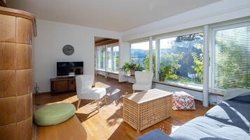 Fernseher, Kamin, Videospielkonsole