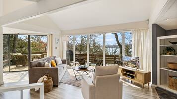 Smart TV, chimenea, libros