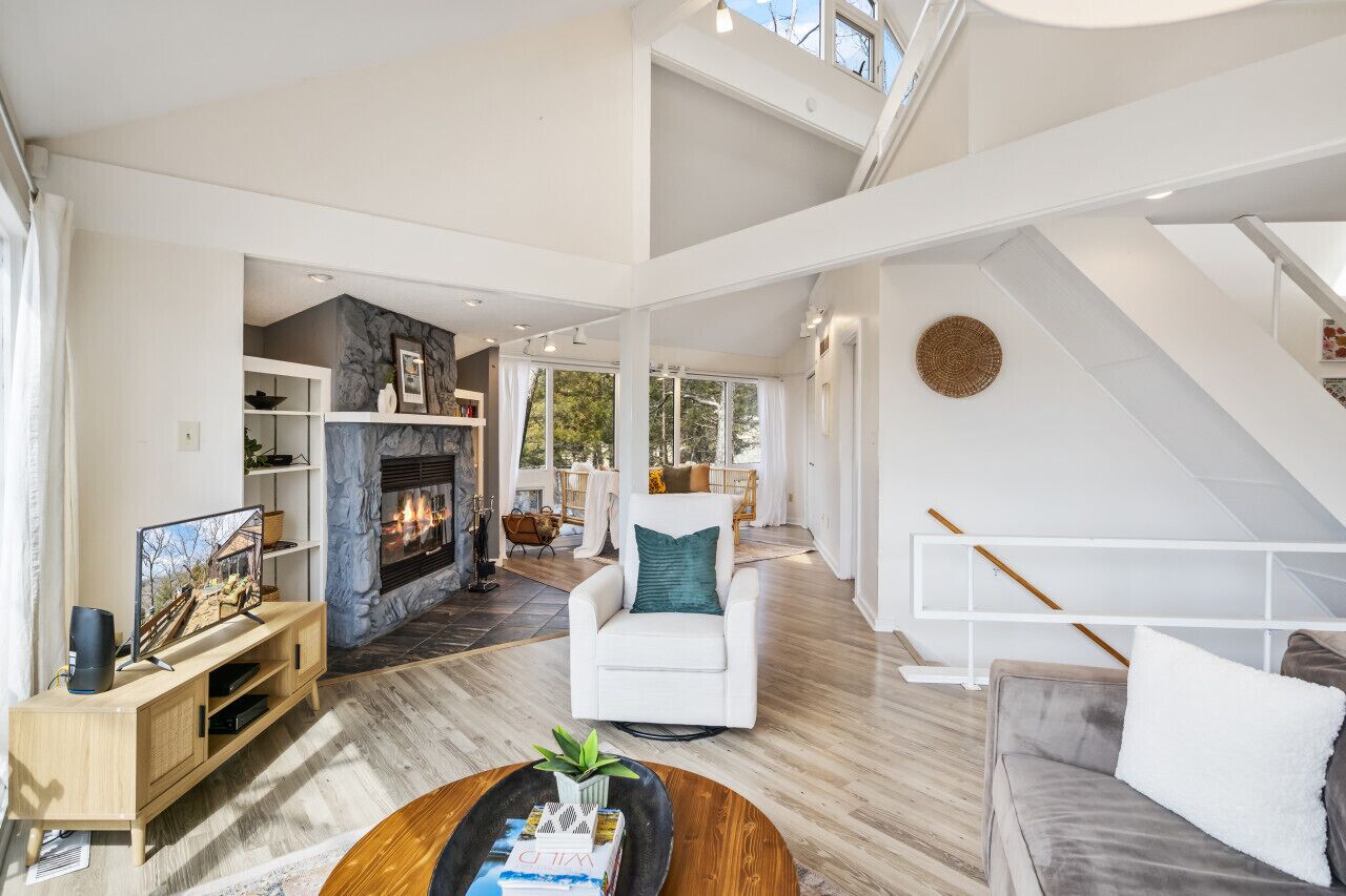 Smart TV, fireplace, books