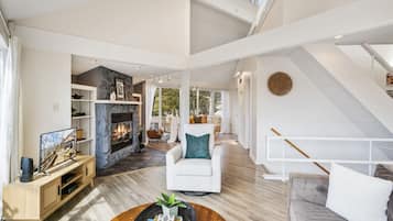 Smart TV, chimenea, libros