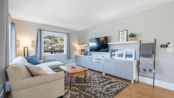 TV connectée, cheminée, livres, espaces bureaux