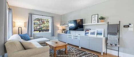 Smart TV, fireplace, books, offices