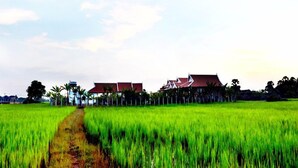 A rural landscape with a green rice field, a dirt path, and traditional houses with red roofs. - Crystal Hotel (Siem Reap)