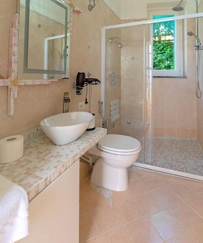 Shower, hair dryer, towels