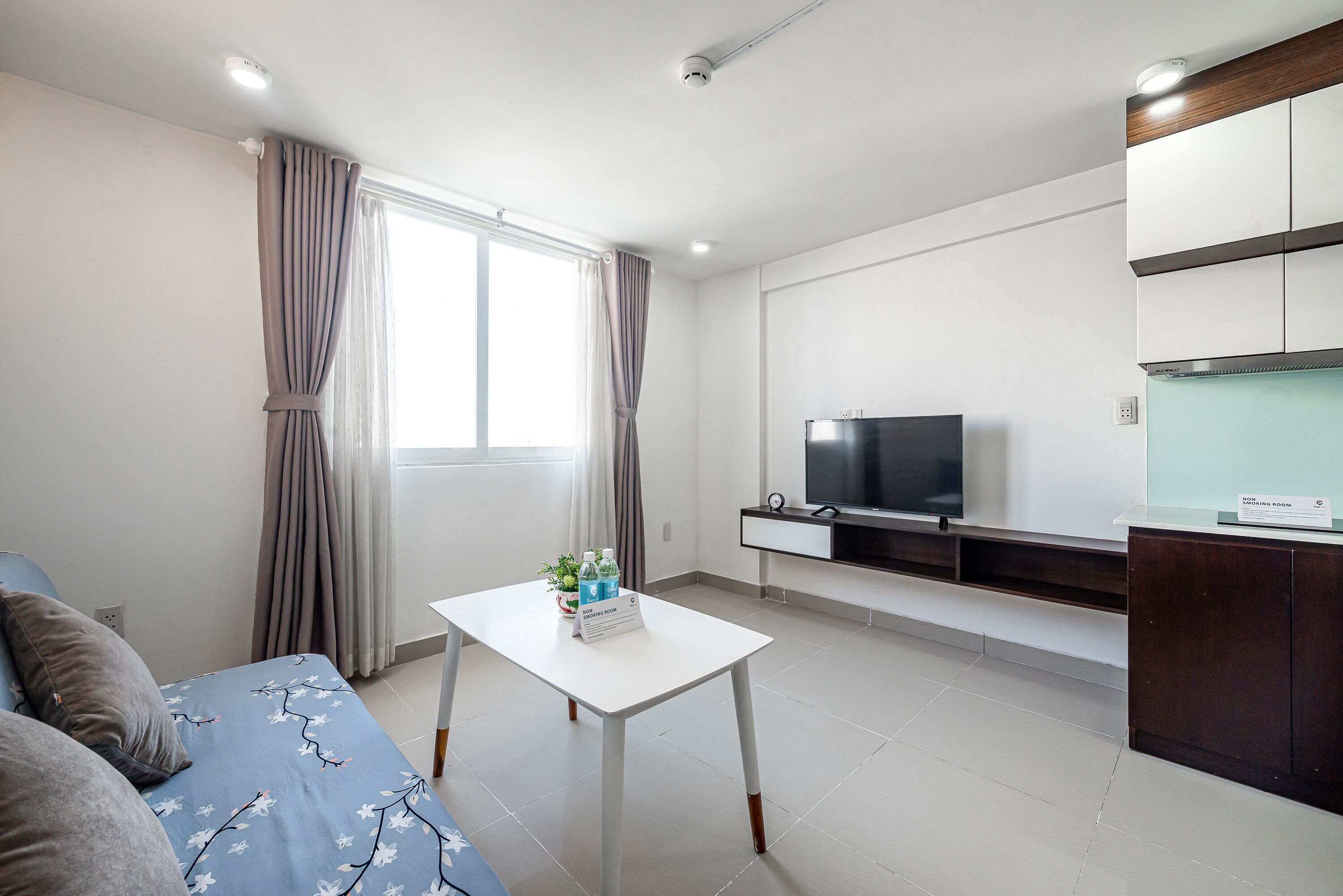 A modern living room with a sofa, a small table with a plant, a flat-screen TV, and a built-in kitchen area.